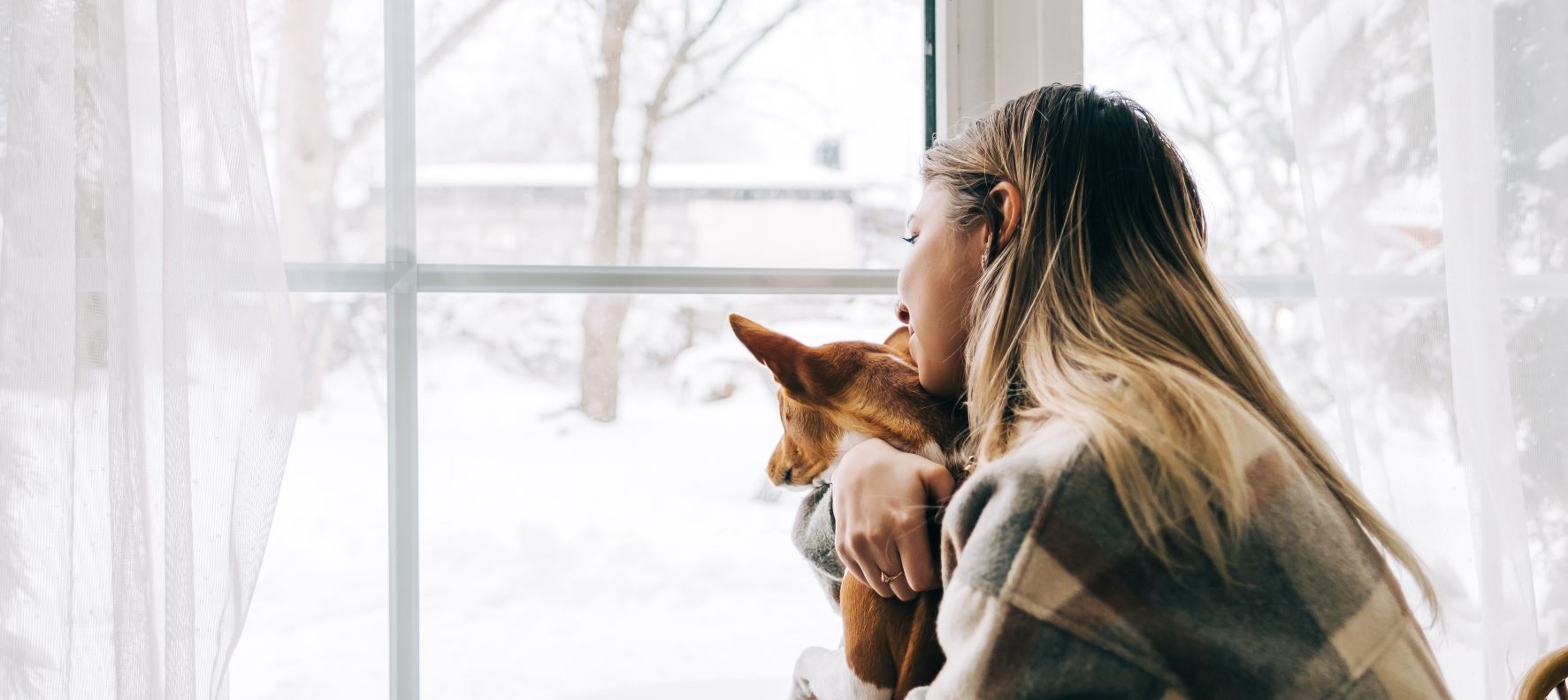 A woman hugs a dog and looks out a window